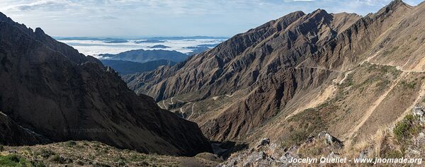 Reserva Nacional de Flora y Fauna Tariquía - Bolivie