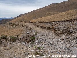 Réserve biologique Cordillera de Sama - Bolivie