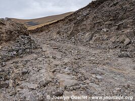 Réserve biologique Cordillera de Sama - Bolivie