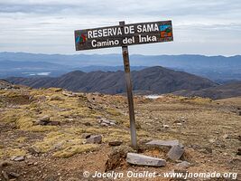 Réserve biologique Cordillera de Sama - Bolivie