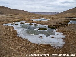 Réserve biologique Cordillera de Sama - Bolivie