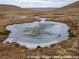 Cordillera de Sama Biological Reserve - Bolivia