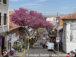 Tarija - Bolivie