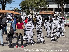 Tarija - Bolivie