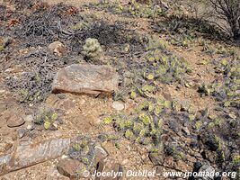 Trail from Palacio Tambo to Tarvita - Bolivia