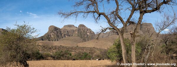 Cruce de Rocillas-Mecoya-Cañas Loop - Bolivia