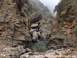 Trail from Tarvita to Monteagudo - Bolivia