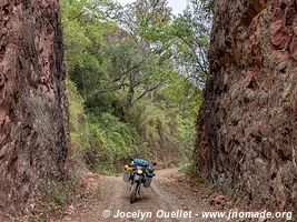 Trail from Tarvita to Monteagudo - Bolivia