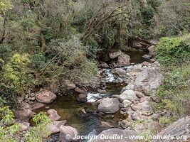 Trail from Tarvita to Monteagudo - Bolivia