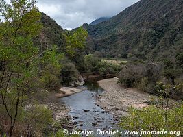 Trail from Tarvita to Monteagudo - Bolivia