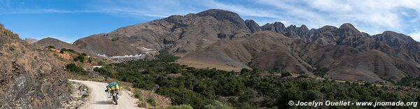 Réserve biologique Cordillera de Sama - Bolivie