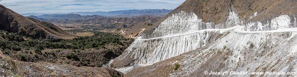 Réserve biologique Cordillera de Sama - Bolivie