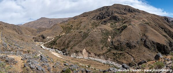 Réserve biologique Cordillera de Sama - Bolivie