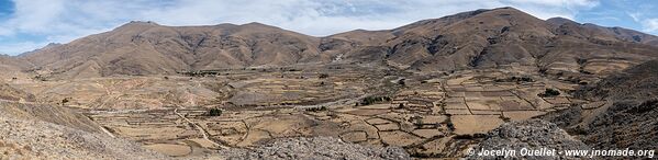 Réserve biologique Cordillera de Sama - Bolivie