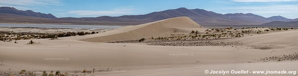 Réserve biologique Cordillera de Sama - Bolivie