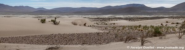 Réserve biologique Cordillera de Sama - Bolivie