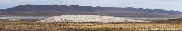 Réserve biologique Cordillera de Sama - Bolivie