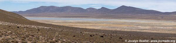 Cordillera de Sama Biological Reserve - Bolivia