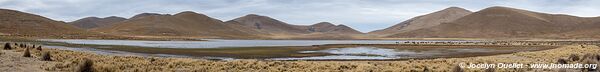 Cordillera de Sama Biological Reserve - Bolivia