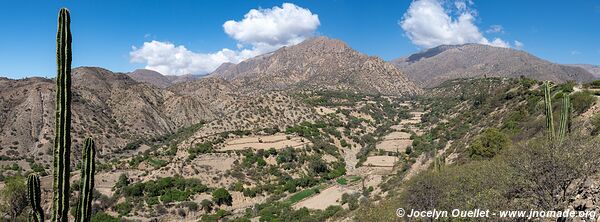 Trail from Palacio Tambo to Tarvita - Bolivia