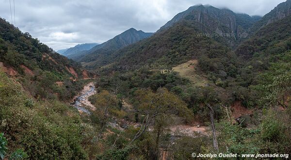 Trail from Tarvita to Monteagudo - Bolivia