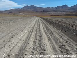 Lagunas Route - Bolivia