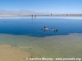 Laguna Cejar - Chile