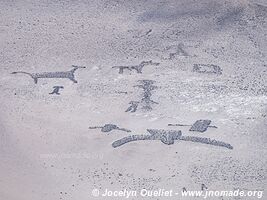 Lluta Geoglyphs - Chile