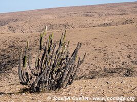 Road from Zapahuira to Codpa - Chile