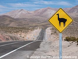 Lauca National Park - Chile