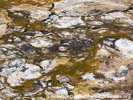 Lauca National Park - Chile