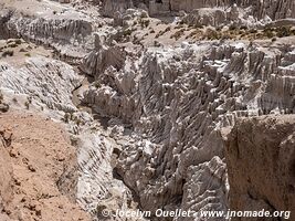 Las Vicuñas National Reserve - Chile