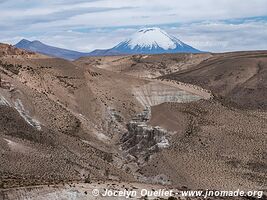 Las Vicuñas National Reserve - Chile