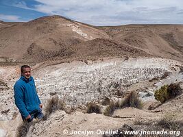 Las Vicuñas National Reserve - Chile