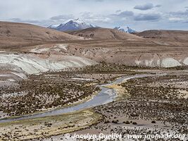 Réserve nationale Las Vicuñas - Chili