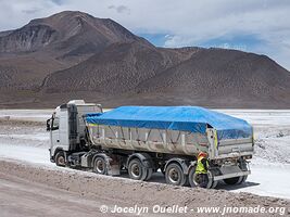 Salar de Surire - Chile