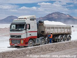 Salar de Surire - Chile