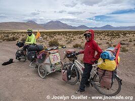 Salar de Surire - Chile