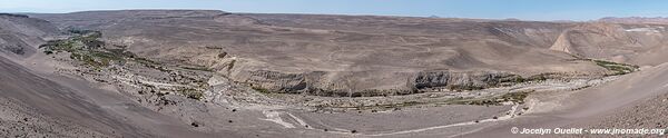 Tilviche Canyon Geoglyphs - Chile