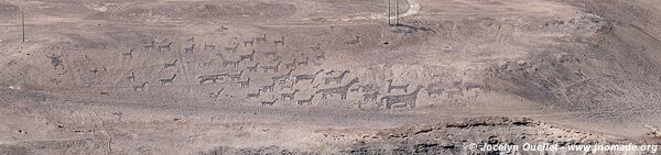 Géoglyphes du canyon de Tilviche - Chili