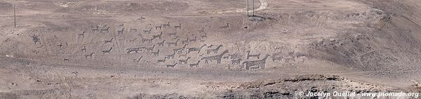 Tilviche Canyon Geoglyphs - Chile