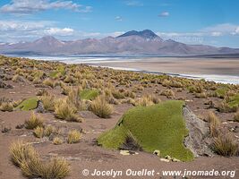 Salar de Surire - Chili