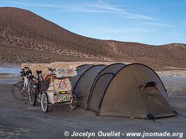 Salar de Surire - Chile