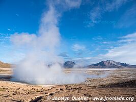 Salar de Surire - Chile