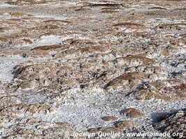 Salar de Surire - Chili