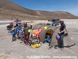 Salar de Surire - Chile