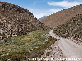 Isluga Volcano National Park - Chile