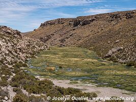 Isluga Volcano National Park - Chile