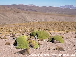 Route de Colchane to Salar de Huasco - Chili