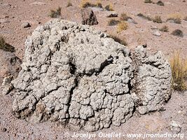 Route de Colchane to Salar de Huasco - Chili